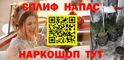 прущие грибы Бузулук