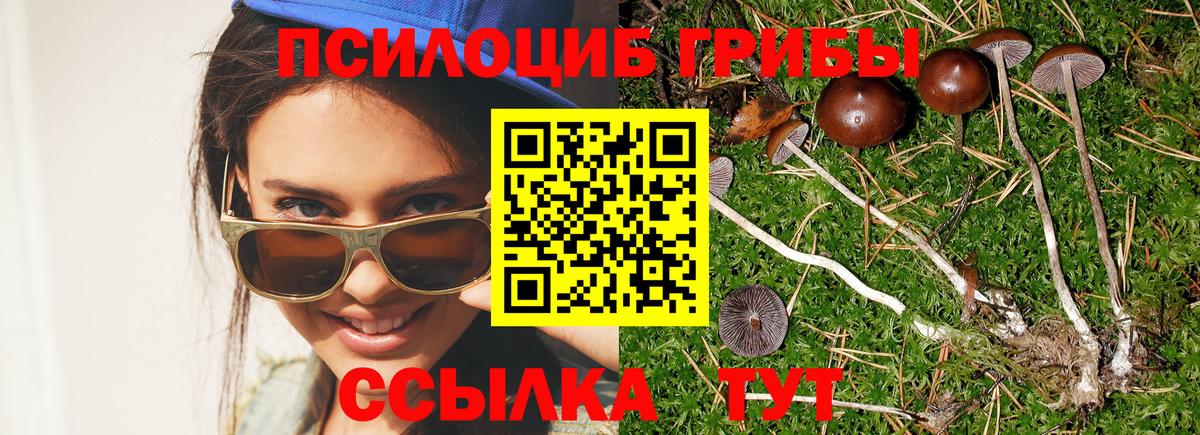 Псилоцибиновые грибы мицелий Нижневартовск